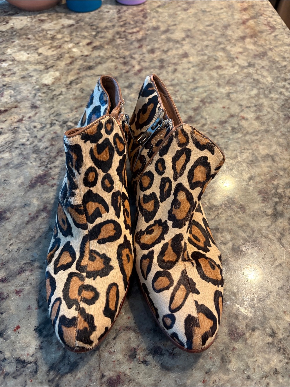 Sam Edelman Leopard Print Ankle Booties in Tan and Black